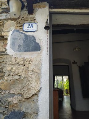 La Gallinella